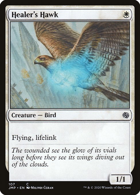 Healer's Hawk